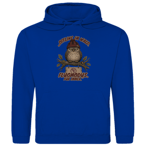 Hoodies und Pullover