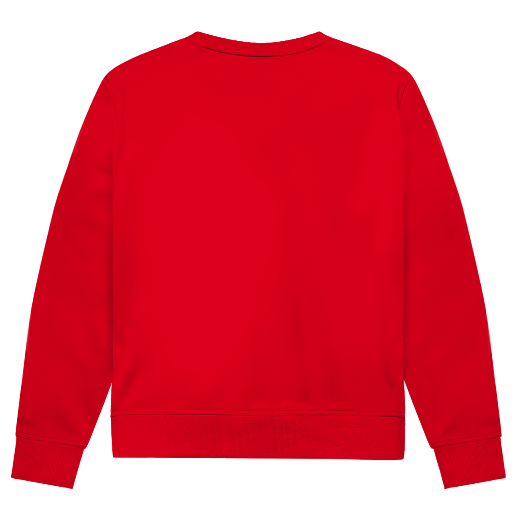 Eule Herren Sweatshirt