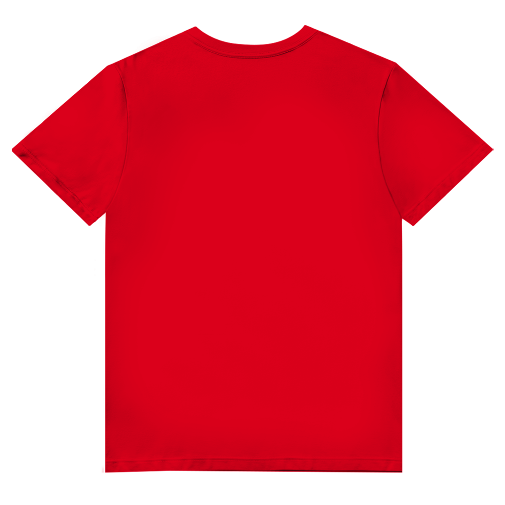 Fuchs Herren V-Neck T-Shirt